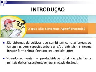 DEFINIÇÃO: Sistemas agroflorestais (SAFs)
 São sistemas de cultivos que combinam culturas anuais ou
forrageiras com espécies arbóreas e/ou animais na mesma
área de forma simultânea ou sequencialmente;
INTRODUÇÃO
 Visando aumentar a produtividade total de plantas e
animais de forma sustentável por unidade de área.
 
