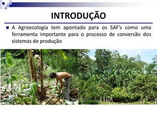 INTRODUÇÃO
 A Agroecologia tem apontado para os SAF’s como uma
ferramenta importante para o processo de conversão dos
sistemas de produção
 