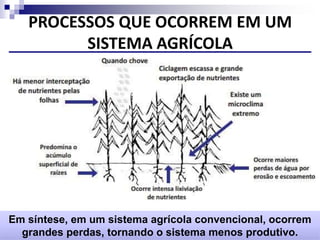PROCESSOS QUE OCORREM EM UM
SISTEMA AGRÍCOLA
Em síntese, em um sistema agrícola convencional, ocorrem
grandes perdas, tornando o sistema menos produtivo.
 