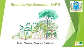 Sistemas Agroflorestais - SAF’S
Aline, Charles, Fausto e Guillermo
 