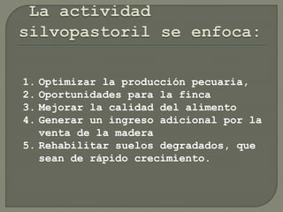1. Optimizar la producción pecuaria,
2. Oportunidades para la finca
3. Mejorar la calidad del alimento
4. Generar un ingreso adicional por la
venta de la madera
5. Rehabilitar suelos degradados, que
sean de rápido crecimiento.
 