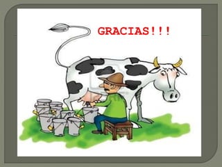 GRACIAS!!!
 