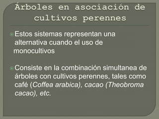 Estos sistemas representan una
alternativa cuando el uso de
monocultivos
Consiste en la combinación simultanea de
árboles con cultivos perennes, tales como
café (Coffea arabica), cacao (Theobroma
cacao), etc.
 