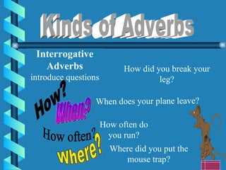 Kinds of Adverbs Interrogative Adverbs introduce questions How? When? Where? How often? How did you break your leg? When does your plane leave? How often do you run? Where did you put the mouse trap? 