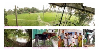 Panaromic view from the Tree Deck




New Boat & landing                  Native cow for Organic manure   Organic Cerification from Lancome, Denmark   Tree Deck
 