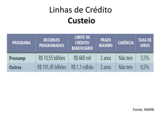 Linhas de Crédito
Custeio
Fonte: MAPA
 