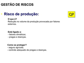 GESTÃO DE RISCOS
• Risco de produção:
Está ligado a:
- fatores climáticos;
- pragas e doenças.
Como se proteger?
- seguro agrícola;
- controle adequado de pragas e doenças.
O que é?
Redução no volume da produção provocada por fatores
externos.
QP
 