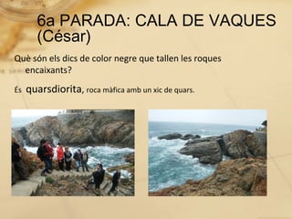 6a PARADA: CALA DE VAQUES
        (César)
Què són els dics de color negre que tallen les roques
  encaixants?
És   quarsdiorita, roca màfica amb un xic de quars.
 