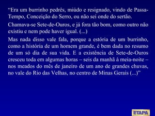 “ Era um burrinho pedrês, miúdo e resignado, vindo de Passa-Tempo, Conceição do Serro, ou não sei onde do sertão. Chamava-se Sete-de-Ouros, e já fora tão bom, como outro não existiu e nem pode haver igual. (...) Mas nada disso vale fala, porque a estória de um burrinho, como a história de um homem grande, é bem dada no resumo de um só dia de sua vida. E a existência de Sete-de-Ouros cresceu toda em algumas horas – seis da manhã à meia-noite – nos meados do mês de janeiro de um ano de grandes chuvas, no vale do Rio das Velhas, no centro de Minas Gerais (...)” 