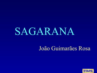 SAGARANA João Guimarães Rosa 