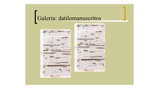 Galeria: datilomanuscritos

 