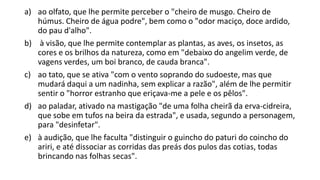 a) ao olfato, que lhe permite perceber o "cheiro de musgo. Cheiro de
húmus. Cheiro de água podre", bem como o "odor maciço, doce ardido,
do pau d'alho".
b) à visão, que lhe permite contemplar as plantas, as aves, os insetos, as
cores e os brilhos da natureza, como em "debaixo do angelim verde, de
vagens verdes, um boi branco, de cauda branca".
c) ao tato, que se ativa "com o vento soprando do sudoeste, mas que
mudará daqui a um nadinha, sem explicar a razão", além de lhe permitir
sentir o "horror estranho que eriçava-me a pele e os pêlos".
d) ao paladar, ativado na mastigação "de uma folha cheirã da erva-cidreira,
que sobe em tufos na beira da estrada", e usada, segundo a personagem,
para "desinfetar".
e) à audição, que lhe faculta "distinguir o guincho do paturi do coincho do
ariri, e até dissociar as corridas das preás dos pulos das cotias, todas
brincando nas folhas secas".

 