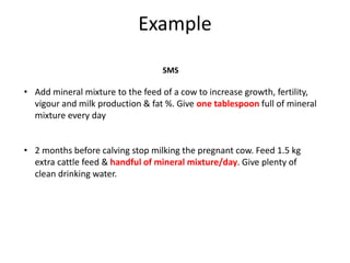 Organizing and managing livestock content for mobile dissemination 