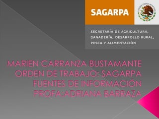 MARIEN CARRANZA BUSTAMANTEORDEN DE TRABAJO: SAGARPAFUENTES DE INFORMACIÓNPROFA:ADRIANA BARRAZA 