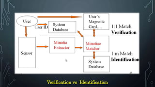 Verification vs Identification
 