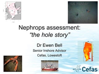 Nephrops assessment:
“the hole story”
Dr Ewen Bell
Senior Inshore Advisor
Cefas, Lowestoft
 