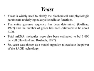 Yeast
• Yeast is widely used to clarify the biochemical and physiologic
parameters underlying eukaryotic cellular functions.
• The entire genome sequence has been determined (Goffeau,
1997) and the number of genes has been estimated to be about
6300.
• Total mRNA molecules were also been estimated to be15 000
per cell (Hereford and Rosbach, 1977).
• So, yeast was chosen as a model organism to evaluate the power
of the SAGE technology.
 