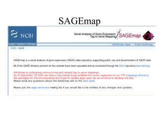 SAGEmap
 