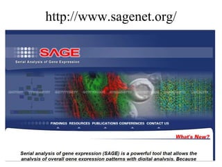 http://www.sagenet.org/
 