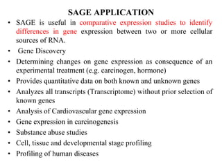 SAGE APPLICATION
• SAGE is useful in comparative expression studies to identify
differences in gene expression between two or more cellular
sources of RNA.
• Gene Discovery
• Determining changes on gene expression as consequence of an
experimental treatment (e.g. carcinogen, hormone)
• Provides quantitative data on both known and unknown genes
• Analyzes all transcripts (Transcriptome) without prior selection of
known genes
• Analysis of Cardiovascular gene expression
• Gene expression in carcinogenesis
• Substance abuse studies
• Cell, tissue and developmental stage profiling
• Profiling of human diseases
 
