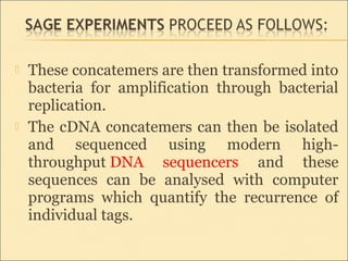  These concatemers are then transformed into
bacteria for amplification through bacterial
replication.
 The cDNA concatemers can then be isolated
and sequenced using modern high-
throughput DNA sequencers and these
sequences can be analysed with computer
programs which quantify the recurrence of
individual tags.
 
