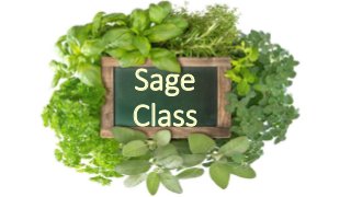 Sage
Class
 
