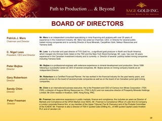 Path to Production … & Beyond
Patrick J. Mars
Chairman and Director
Mr. Mars is an independent consultant specializing in mine financing and analysis with over 30 years of
experience in the investment industry. Mr. Mars has acted as Chairman, CEO, or Director for several public-
traded mining companies and is currently Director of Aura Minerals, Carpathian Gold, Selwyn Resources and
Yamana Gold.
Peter Bojtos
Director
Mr. Bojtos is a professional engineer with extensive experience in mineral development and production. Since 1996
following a successful career as CEO of several companies, Mr. Bojtos serves on mining company boards as an
independent Director.
Gary Robertson
Director
Mr. Robertson is a Certified Financial Planner. He has worked in the financial industry for the past twenty years, and
presently serves on the board of several private companies as well as on the board of six Canadian junior gold mining
companies.
Mr. Freeman has extensive experience in public markets, finance and compliance, this includes six years as Director of
Markets and Compliance at the OFEX Market (now ISDX). Mr. Freeman is Compliance Officer of Loeb Aron & Company
a London corporate finance firm, a Lay member of the Upper Tribunal (Tax & Chancery) and of the Probate Committee
of the ICAEW. Mr. Freeman is also a director of TSX-V quoted Cabo Drilling Inc., of AIM quoted Capital Lease Aviation
PLC and of Jenolan Ltd.
Sandy Chim
Director
Mr. Chim is an international business executive. He is the President and CEO of Century Iron Mines Corporation (TSX-
FER), a director of Augyva Mining Resources Inc. (TSX.V-AUV) and non executive director of Prosperity Minerals Holdings
Limited. Mr.Chim resides in Kowloon, SAR, Hong Kong, PRC.
C. Nigel Lees
President, CEO and Director
.
Mr. Lees is a founder and past director of TVX Gold Inc., a significant gold producer in North and South America,
which merged into Kinross Gold, listed on the TSX and the New York Stock Exchange. Mr. Lees has over 30 years
experience in the Canadian investment industry and is currently a Director of several publicly traded mining companies
including Yamana Gold.
BOARD OF DIRECTORS
Peter Freeman
Director
18
 