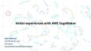 Initial experiences with AWS SageMaker
Robin Meehan
robin@inasight.com
@rmeehan
www.linkedin.com/in/robinmeehan/
 