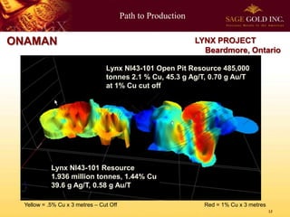 Path to Production
12
ONAMAN
Yellow = .5% Cu x 3 metres – Cut Off Red = 1% Cu x 3 metres
Lynx NI43-101 Resource
1.936 million tonnes, 1.44% Cu
39.6 g Ag/T, 0.58 g Au/T
Lynx NI43-101 Open Pit Resource 485,000
tonnes 2.1 % Cu, 45.3 g Ag/T, 0.70 g Au/T
at 1% Cu cut off
LYNX PROJECT
Beardmore, Ontario
 