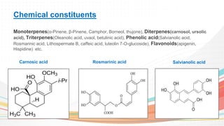 Chemical constituents
Monoterpenes(α-Pinene, β-Pinene, Camphor, Borneol, thujone), Diterpenes(carnosol, ursolic
acid), Tri...
