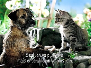 Seul, on va plus vite, mais ensemble on va plus loin. 