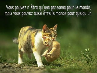Vous pouvez n'être qu'une personne pour le monde, mais vous pouvez aussi être le monde pour quelqu'un. 