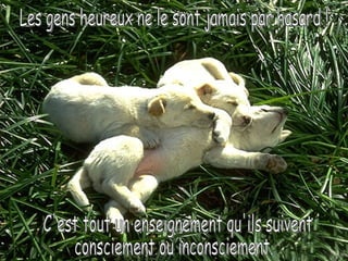 Les gens heureux ne le sont jamais par hasard ! C'est tout un enseignement qu'ils suivent  consciement ou inconsciement. 