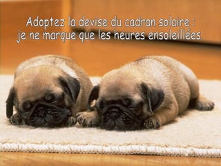 Adoptez la devise du cadran solaire : je ne marque que les heures ensoleillées. 