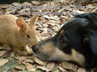 Soyez le changement que vous désirez  voir le plus dans votre monde 