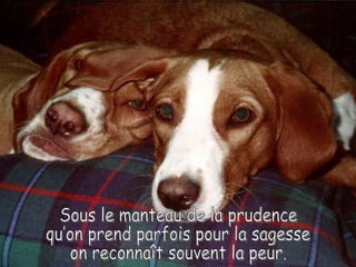 Sous le manteau de la prudence  qu’on prend parfois pour la sagesse  on reconnaît souvent la peur. 