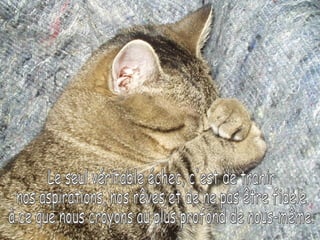 Le seul véritable échec, c'est de trahir  nos aspirations, nos rêves et de ne pas être fidèle  à ce que nous croyons au plus profond de nous-même. 