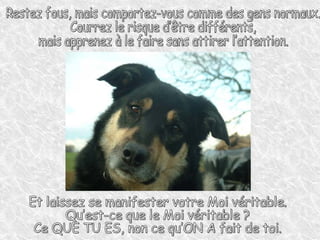 Restez fous, mais comportez-vous comme des gens normaux.  Courrez le risque d’être différents,  mais apprenez à le faire sans attirer l’attention.  Et laissez se manifester votre Moi véritable.  Qu’est-ce que le Moi véritable ?  Ce QUE TU ES, non ce qu’ON A fait de toi. 