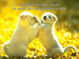 Si on était fait pour reculer, on aurait des yeux derrière la tête. 