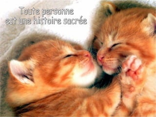 Toute personne  est une histoire sacrée 