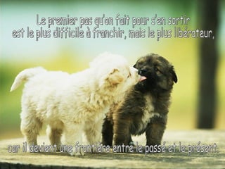 Le premier pas qu’on fait pour s’en sortir est le plus difficile à franchir, mais le plus libérateur, car il devient une frontière entre le passé et le présent. 