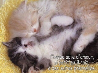 Chaque acte d'amour,  si petit qu'il soit,  a des suites éternelles. 