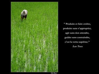 " Produire et faire croître,  produire sans s'approprier,  agir sans rien attendre,  guider sans contraindre,  c'est la vertu suprême."  Lao Tseu 