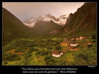 " Les choses qui s'écroulent sont une sorte d'épreuve,  mais aussi une sorte de guérison."  Pema Chödrön  