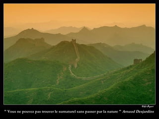 " Vous ne pouvez pas trouver le surnaturel sans passer par la nature "  Arnaud Desjardins  