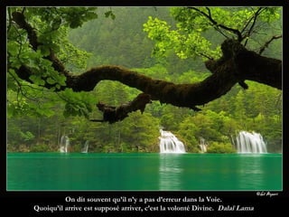 On dit souvent qu’il n’y a pas d’erreur dans la Voie.  Quoiqu’il arrive est supposé arriver, c’est la volonté Divine.   Dalaï Lama  