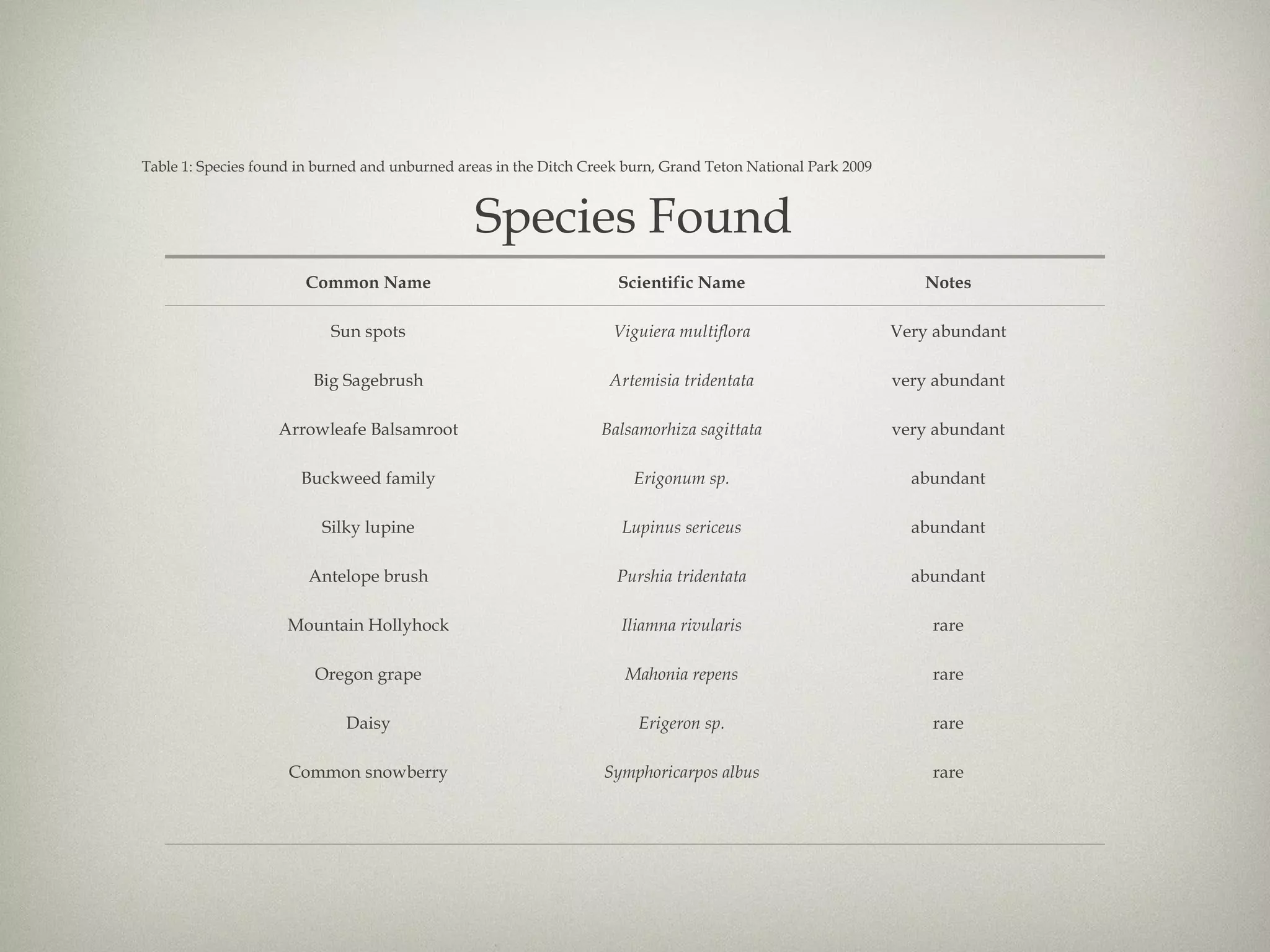 Table 1: Species found in burned and unburned areas in the Ditch Creek burn, Grand Teton National Park 2009 Species Found Common Name Scientific Name Notes Sun spots Viguiera multiflora Very abundant Big Sagebrush Artemisia tridentata very abundant Arrowleafe Balsamroot Balsamorhiza sagittata very abundant Buckweed family Erigonum sp. abundant Silky lupine Lupinus sericeus abundant Antelope brush Purshia tridentata abundant Mountain Hollyhock Iliamna rivularis rare Oregon grape Mahonia repens rare Daisy Erigeron sp. rare Common snowberry Symphoricarpos albus rare 