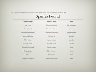 Table 1: Species found in burned and unburned areas in the Ditch Creek burn, Grand Teton National Park 2009 Species Found ...