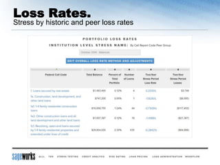 Loss Rates.
Stress by historic and peer loss rates
 