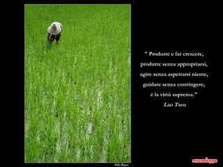 " Produrre e far crescere,  produrre senza appropriarsi,  agire senza aspettarsi niente,  guidare senza costringere,  è la virtù suprema."  Lao Tseu 